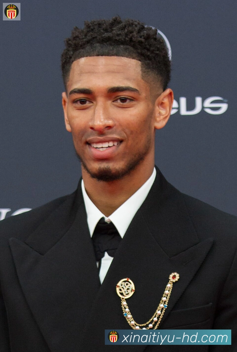 维尼修斯